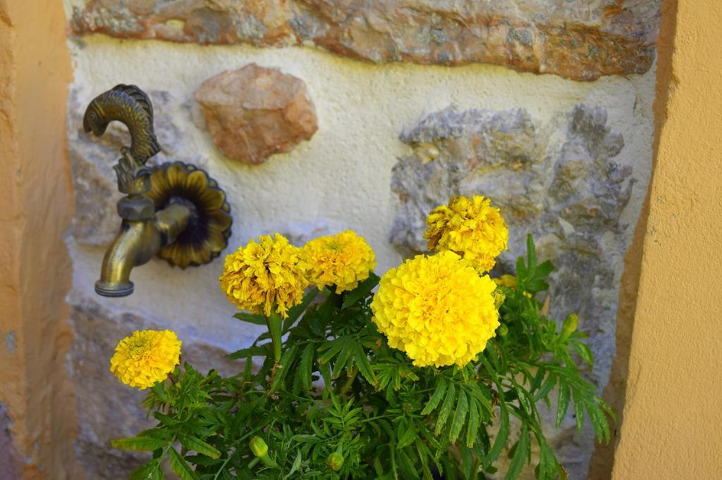 Tilemachos Traditional House Βαθύ Εξωτερικό φωτογραφία